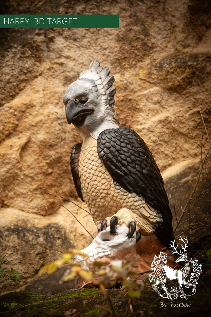 3D HARPY TARGET BY CENTERPOINT-3d target-Centerpoint-Fairbow