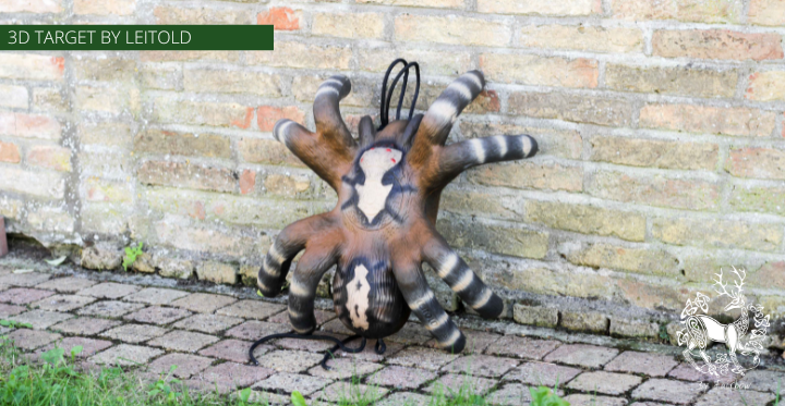 3D TARGET BABY TARANTULA BIRD SPIDER BY LEITOLD-3d target-leitold-Fairbow