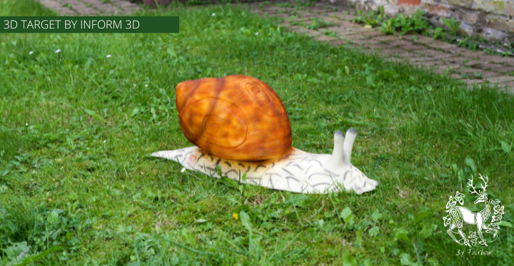 3D TARGET THE SNAIL BY INFORM 3D-3d target-Inform3d-Straight-Fairbow