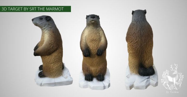 3D TARGET MARMOT BY SRT