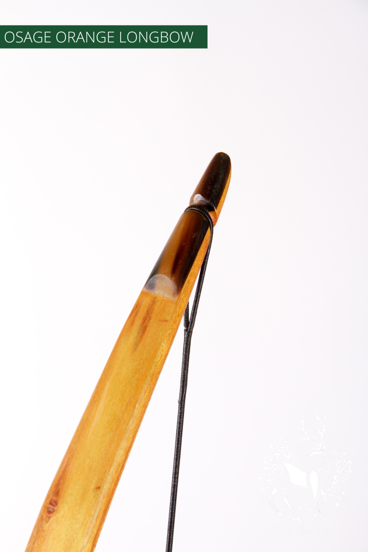 OSAGE SELFBOW, 65 INCH NTN, 43 LBS AMERICAN FLATBOW-Bow-Fairbow-Fairbow