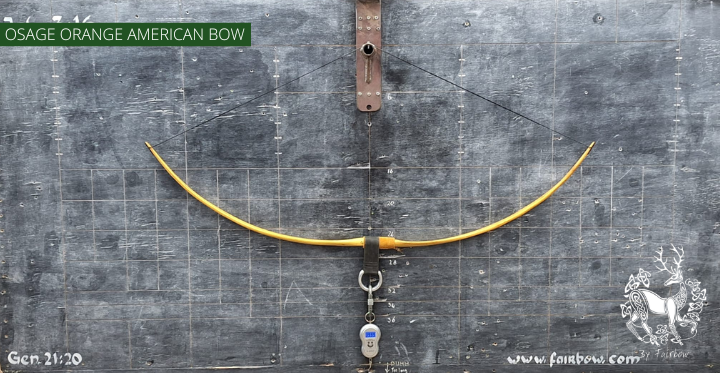 OSAGE SELFBOW, 65 INCH NTN, 43 LBS AMERICAN FLATBOW-Bow-Fairbow-Fairbow