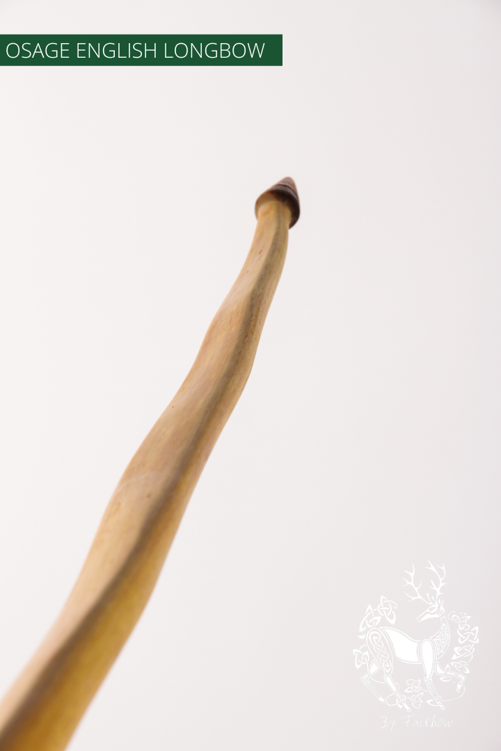 OSAGE SELFBOW,ENGLISH LONGBOW 72 INCH NTN, 50 LBS-Bow-Fairbow-Fairbow
