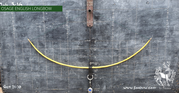 OSAGE SELFBOW,ENGLISH LONGBOW 72 INCH NTN, 52 LBS-Bow-Fairbow-Fairbow