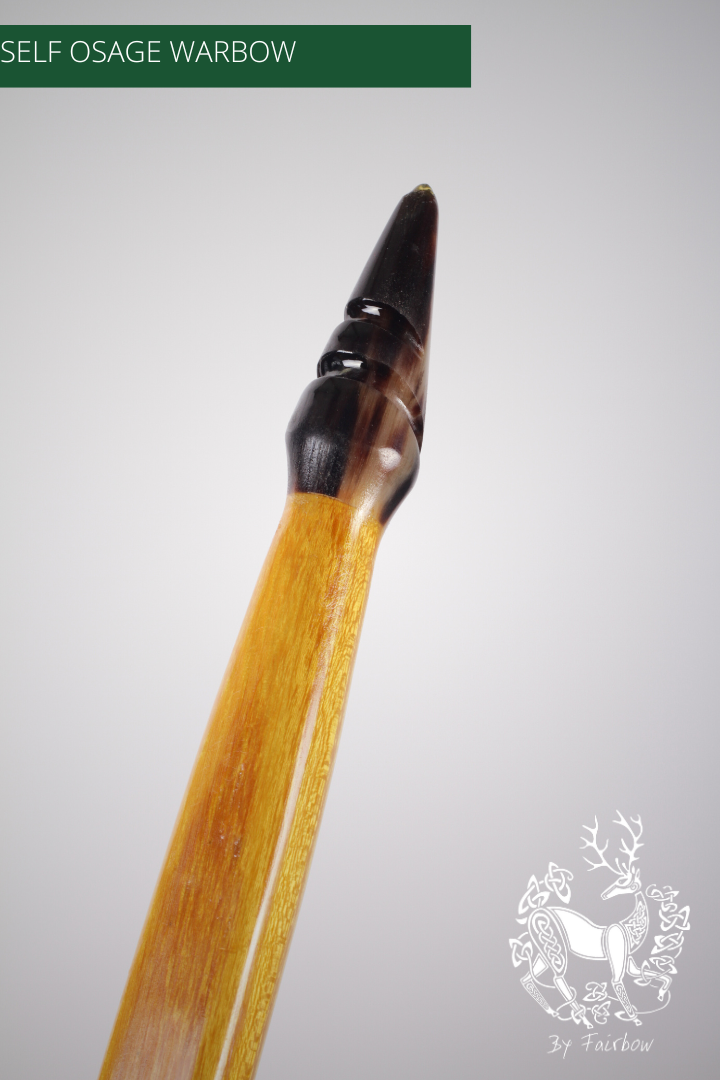 OSAGE SELFBOW,ENGLISH LONGBOW 74 INCH NTN, 101 LBS-Bow-Fairbow-Fairbow