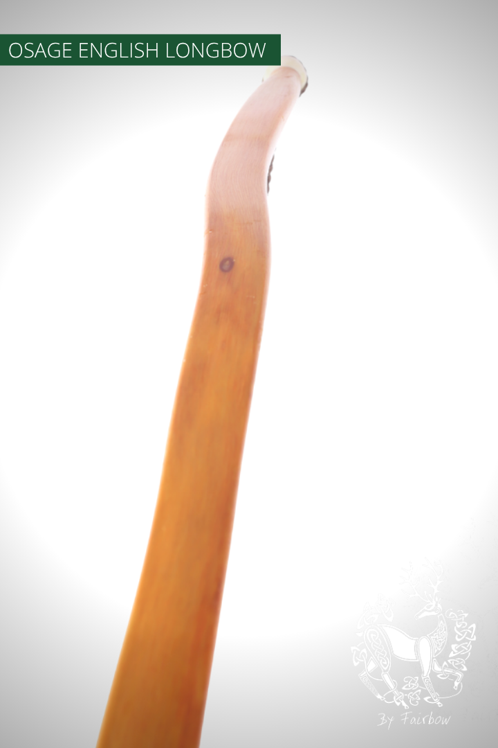 OSAGE SELFBOW,ENGLISH LONGBOW 74 INCH NTN, 49 lbs-Bow-Fairbow-Fairbow