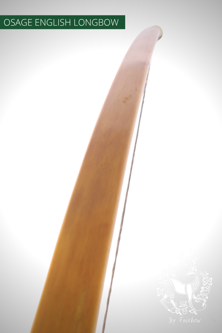 OSAGE SELFBOW,ENGLISH LONGBOW 74 INCH NTN, 61 lbs-Bow-Fairbow-Fairbow