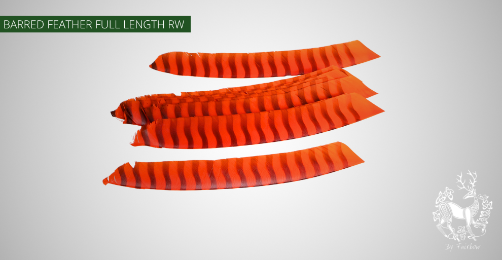 TURKEY FEATHERS BARRED AND COLORED FULL LENGTH SOLD PER DOZEN RIGHT WING-Feathers-Gateway-Orange barred-Fairbow