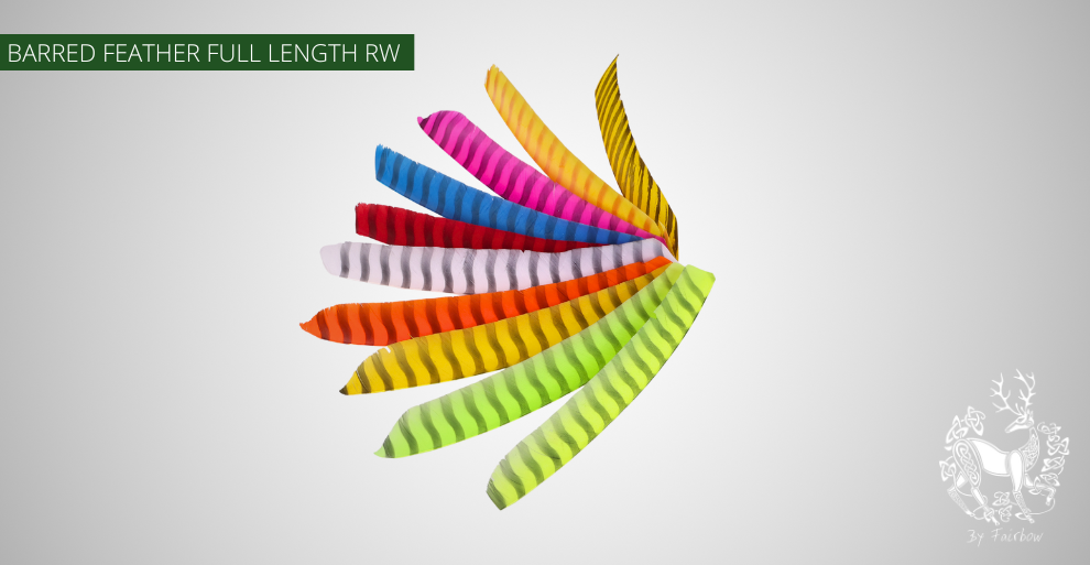 TURKEY FEATHERS BARRED AND COLORED FULL LENGTH SOLD PER DOZEN RIGHT WING-Feathers-Gateway-Red Barred-Fairbow