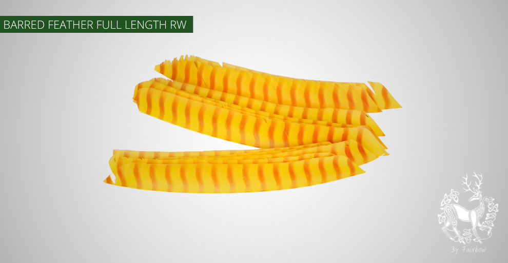 TURKEY FEATHERS BARRED AND COLORED FULL LENGTH SOLD PER DOZEN RIGHT WING-Feathers-Gateway-Yellow 'n red Barred-Fairbow