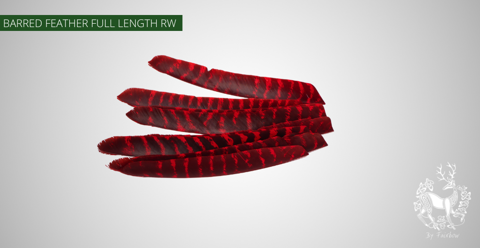 TURKEY FEATHERS NATURAL BARRED SOLD PER DOZEN RIGHT WING-Feathers-Fairbow-Red dyed-Fairbow