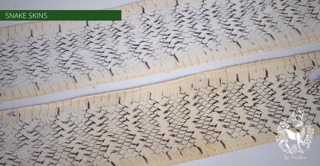 WATER SNAKE SKIN (PAIR) 78-95 CM-Tool-Fairbow-White-Fairbow