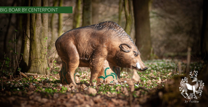 3D BIG BOAR TARGET BY CENTERPOINT-target-Centerpoint-Fairbow