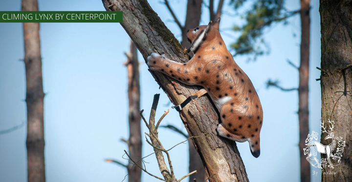 3D CLIMBING LYNX TARGET BY CENTERPOINT-target-Centerpoint-Fairbow