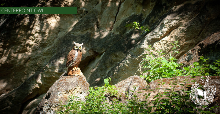 3D OWL TARGET BY CENTERPOINT-target-Centerpoint-Fairbow