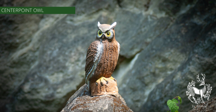3D OWL TARGET BY CENTERPOINT-target-Centerpoint-Fairbow