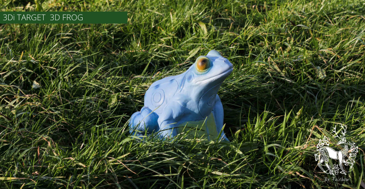 3D TARGET 3Di FROG-3d target-Fairbow-Blue-Fairbow