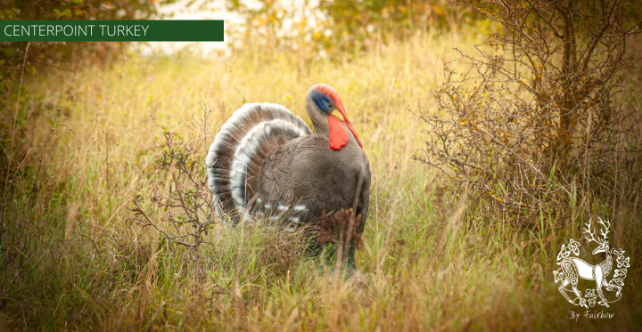 3D TURKEY TARGET BY CENTERPOINT-target-Centerpoint-Fairbow