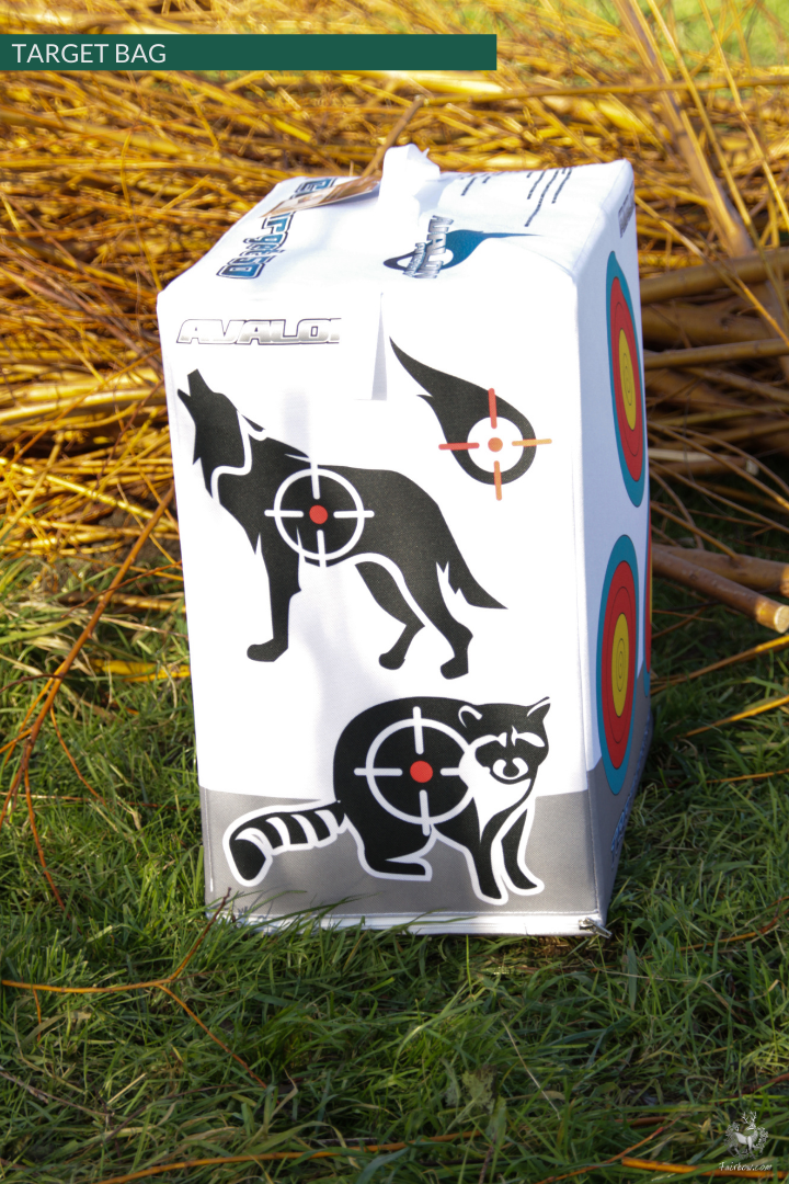 AVALON SHOOTINGBAG TARGET 20 X 12 X 20 INCHES TEC 50-target-Avalon-Fairbow