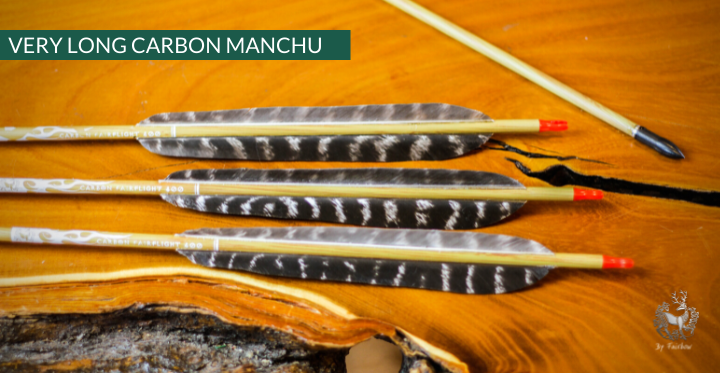 CARBON ARROWS TACTICAL CARBON SET OF 6 ARROWS-Arrow-Fairbow-Fairbow