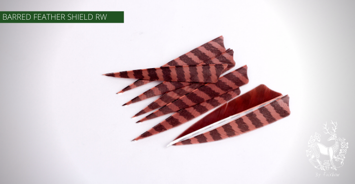 FEATHERS BARRED 4 INCH SHIELD PER DOZEN (RW)-Feathers-Fairbow-Brown - Black-Fairbow