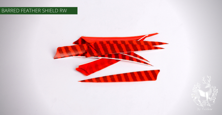 FEATHERS BARRED 4 INCH SHIELD PER DOZEN (RW)-Feathers-Fairbow-Orange - Black-Fairbow