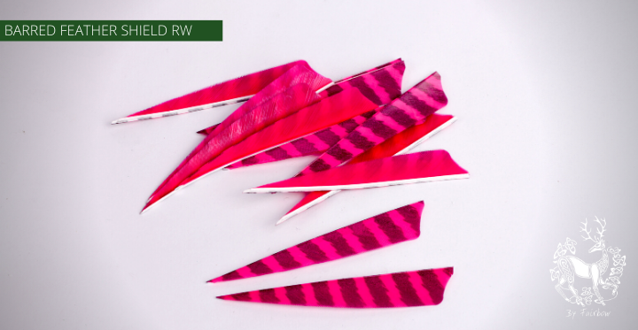 FEATHERS BARRED 4 INCH SHIELD PER DOZEN (RW)-Feathers-Fairbow-Pink - Black-Fairbow