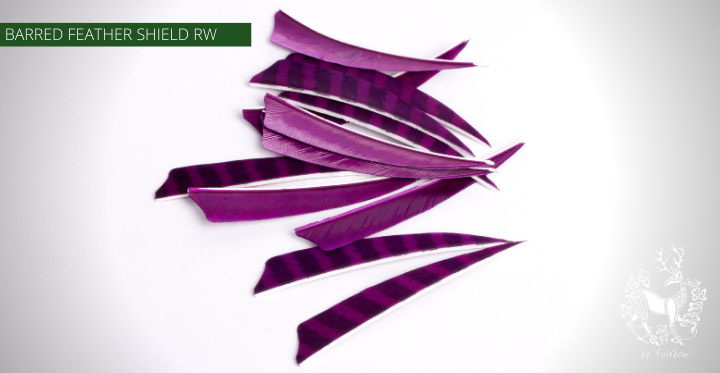 FEATHERS BARRED 4 INCH SHIELD PER DOZEN (RW)-Feathers-Fairbow-Purple - black-Fairbow