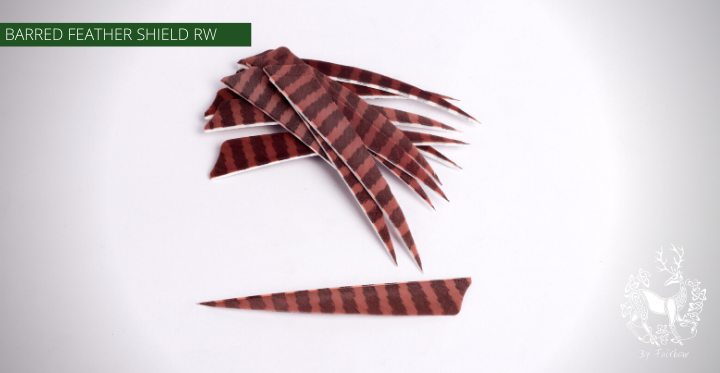 FEATHERS BARRED 5 INCH SHIELD PER DOZEN (RW)-Feathers-Fairbow-White - Black-Fairbow