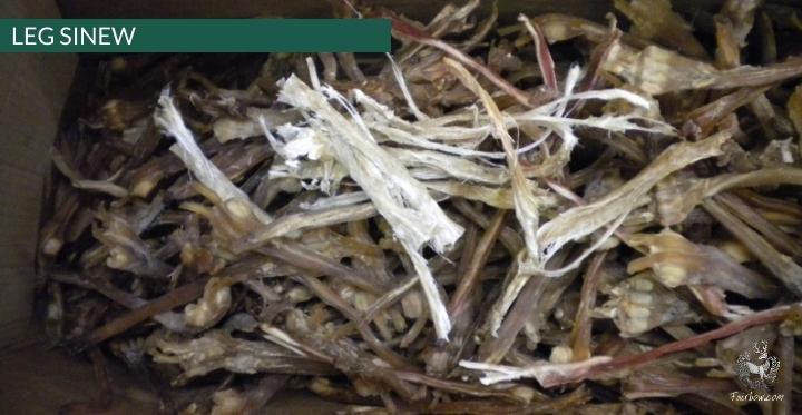 LEG SINEW STRIPS APPROX. 6-9 INCHES-Arrow-Fairbow-Fairbow