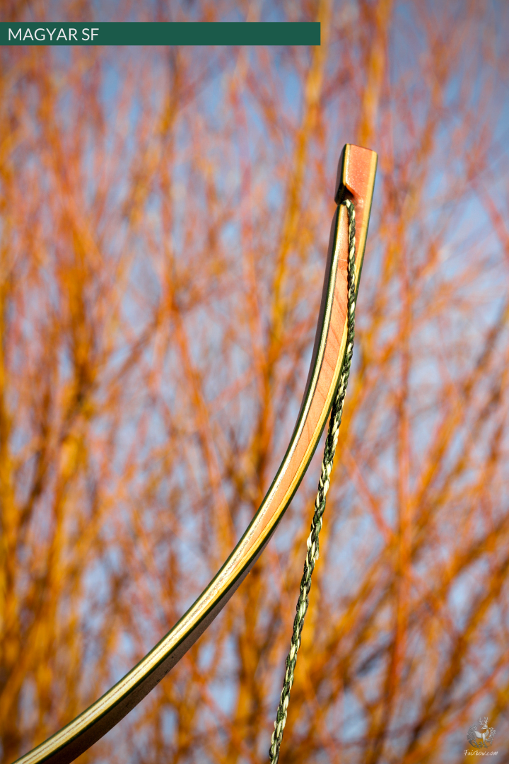 MAGYAR SF, GREEN GLASS AND SUPERCORE, HORSEBOW 30 LBS @ 28 INCH-Bow-Fairbow-Fairbow