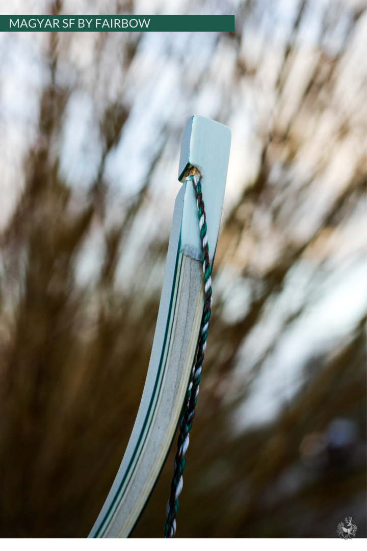 MAGYAR SF, GREEN GLASS AND SUPERCORE, HORSEBOW 55 LBS @ 28 INCH-Bow-Fairbow-Fairbow