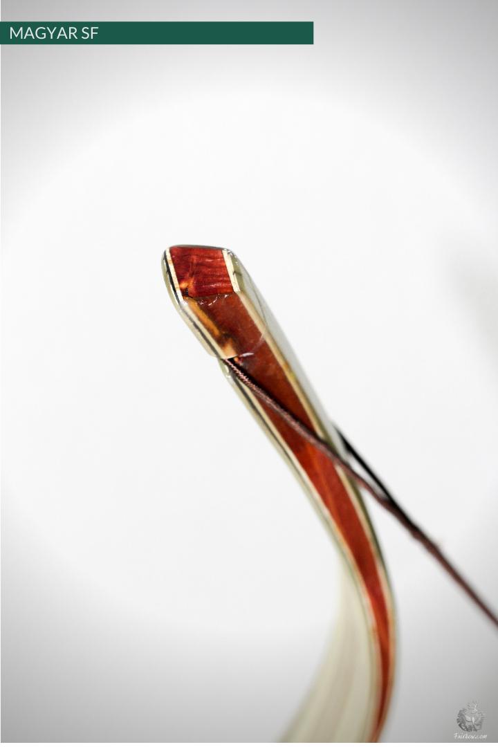 MAGYAR SF, LIMBA, MAPLE CORE VENEER AND SUPERCORE, HORSEBOW 32 LBS @ 28 INCH-Bow-Fairbow-Fairbow