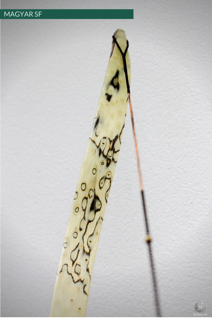 MAGYAR SF, LIMBA, SPLIT VENEER AND SUPERCORE, HORSEBOW 42 LBS @ 28 INCH-Bow-Fairbow-Fairbow