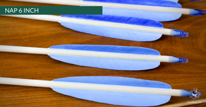NAP (NEW AMSTERDAM) ARROW, SET OF 6-Arrow-Fairbow-nr 41 6.2 inch-Fairbow