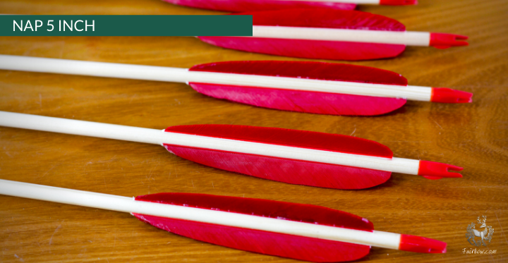 NAP (NEW AMSTERDAM) ARROW, SET OF 6-Arrow-Fairbow-nr 87 5 inch-Fairbow