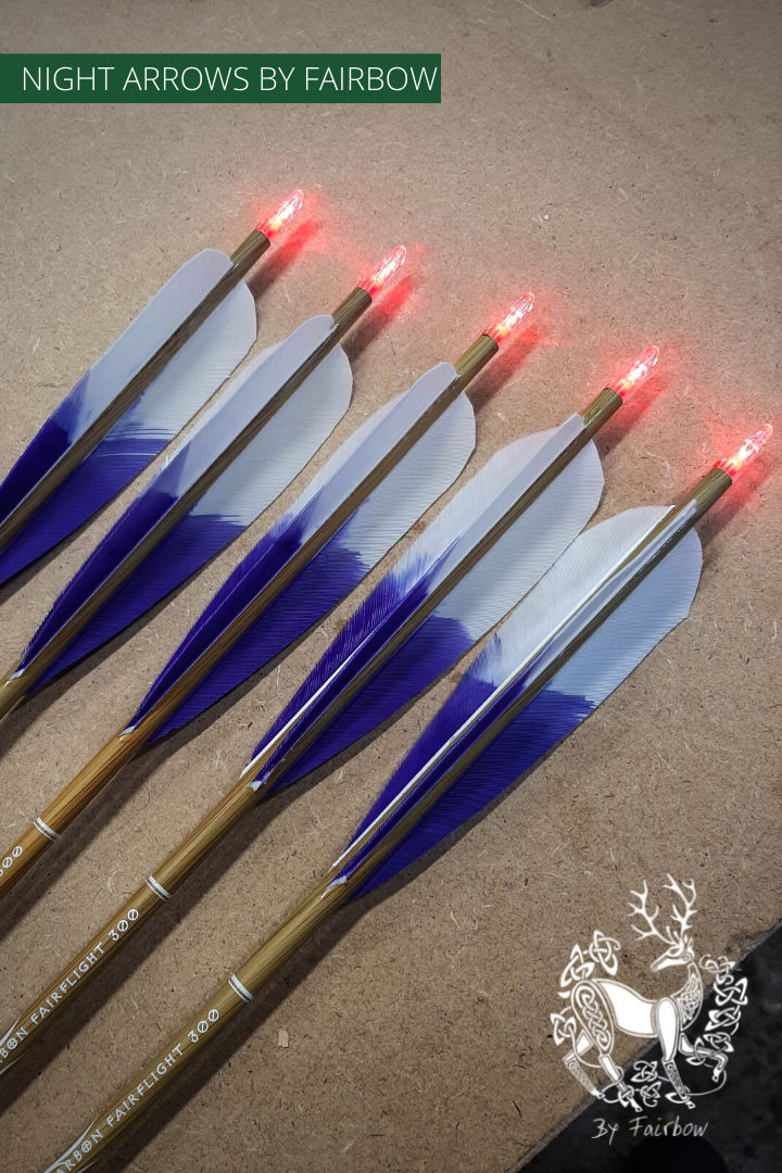 NIGHT ARROWS TACTICAL LED CARBON SET OF 5 ARROWS-Arrow-Fairbow-Fairbow