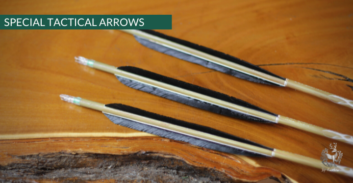NIGHT ARROWS TACTICAL LED CARBON SET OF 5 ARROWS-Arrow-Fairbow-Fairbow