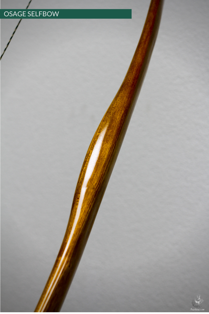 OSAGE SELFBOW, 66 INCH NTN, 55 LBS-Bow-Fairbow-Fairbow