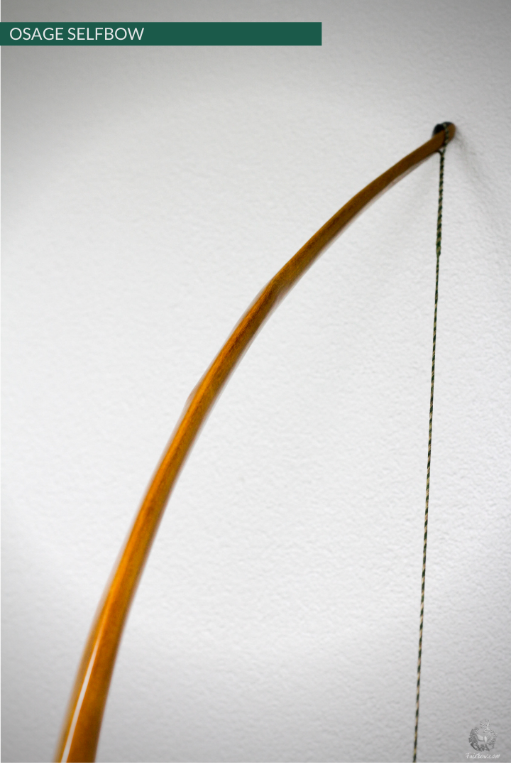 OSAGE SELFBOW, 66 INCH NTN, 55 LBS-Bow-Fairbow-Fairbow