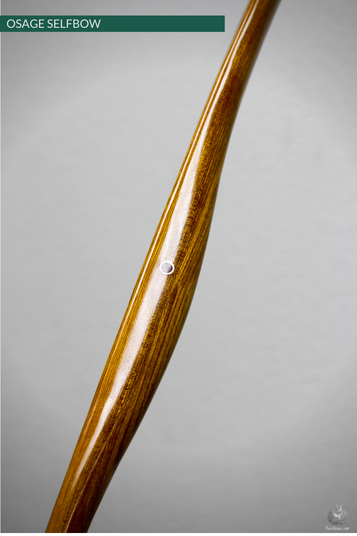 OSAGE SELFBOW, 66 INCH NTN, 55 LBS-Bow-Fairbow-Fairbow