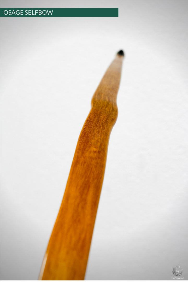 OSAGE SELFBOW, 66 INCH NTN, 55 LBS-Bow-Fairbow-Fairbow