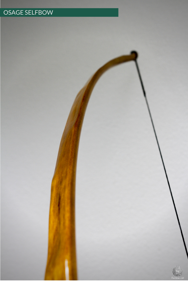 OSAGE SELFBOW, 69 INCH NTN, 58 LBS-Bow-Fairbow-Fairbow