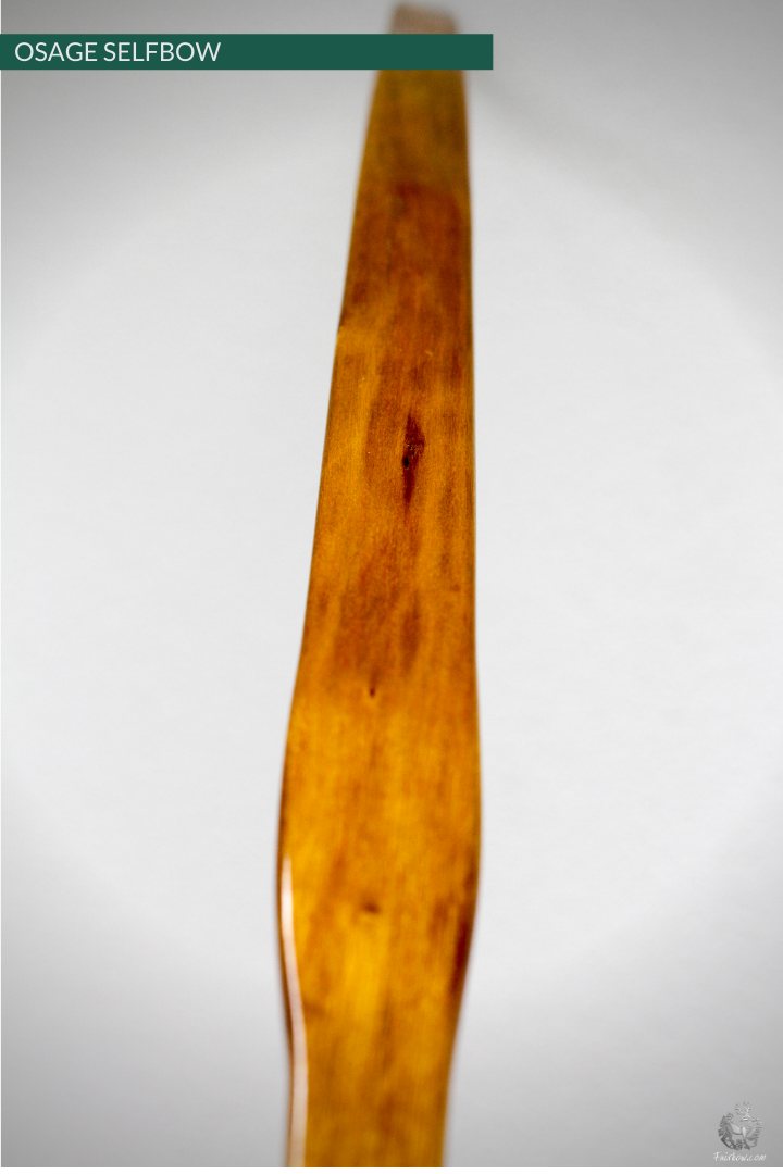 OSAGE SELFBOW, 69 INCH NTN, 58 LBS-Bow-Fairbow-Fairbow