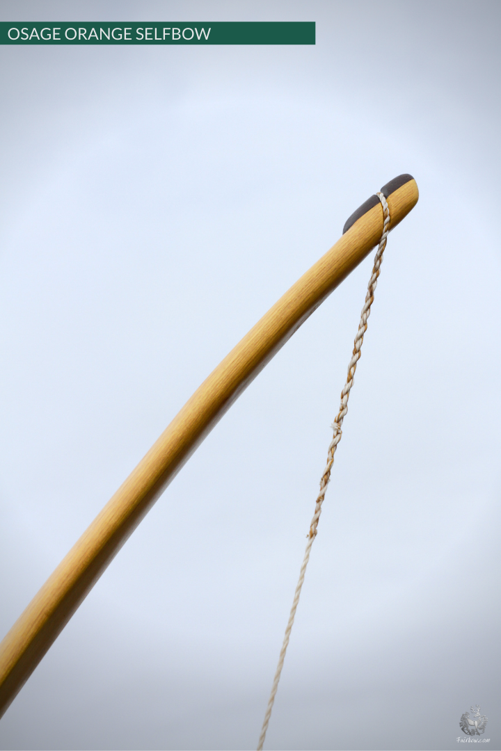 OSAGE SELFBOW, 70 INCH NTN, 59 LBS-Bow-Fairbow-Fairbow