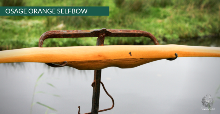 OSAGE SELFBOW, 70 INCH NTN, 59 LBS-Bow-Fairbow-Fairbow