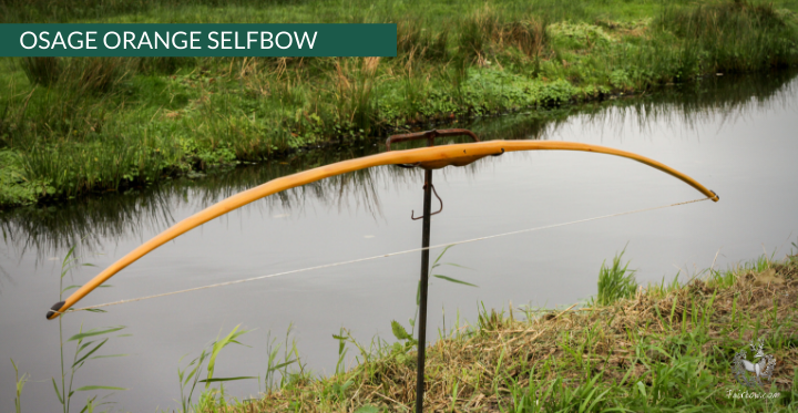 OSAGE SELFBOW, 70 INCH NTN, 59 LBS-Bow-Fairbow-Fairbow