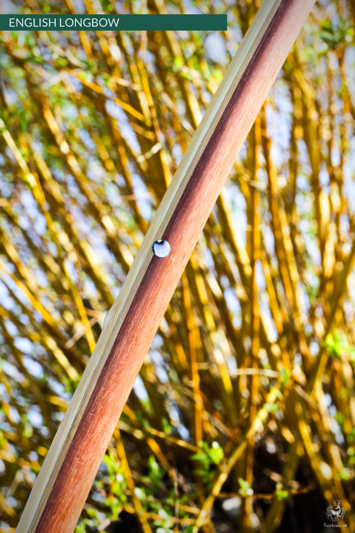 QUAD LAMINATED ENGLISH LONGBOW MASSARANDUBA, SUPERCORE, BAMBOO 55 LBS @ 28 INCH-English Longbow-Fairbow-Fairbow