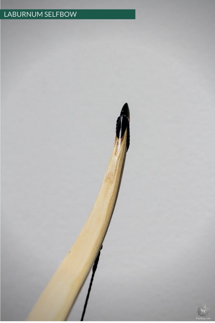 RECURVED LABURNUM SELFBOW, 66 INCH NTN, 40 LBS-Bow-Fairbow-Fairbow