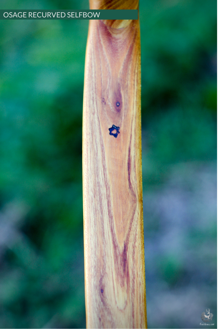 RECURVED OSAGE SELFBOW, 67 INCH NTN, 45 LBS-Bow-Fairbow-Fairbow